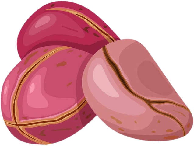 Kola nuts